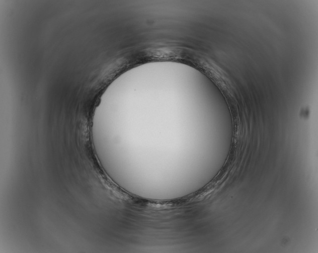 X0000090900469200707301015