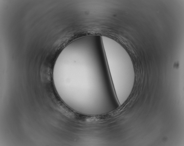 X0000090900470200707301015