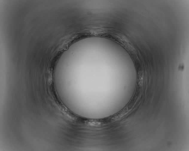 X0000090900471200707301015