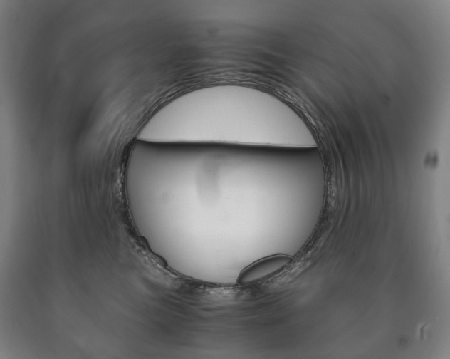 X0000090900473200707301015