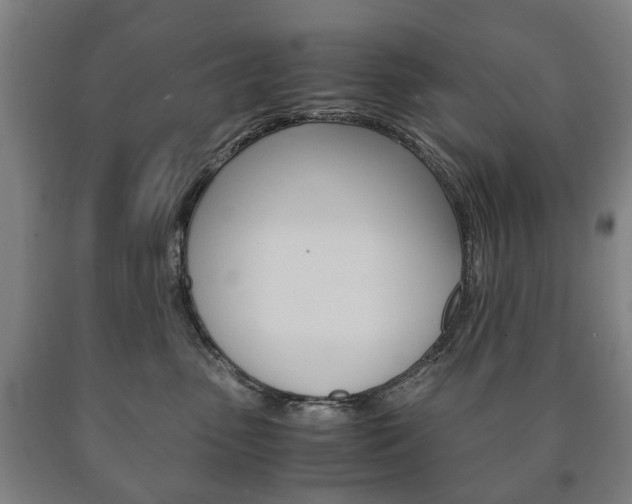 X0000090900475200707301015