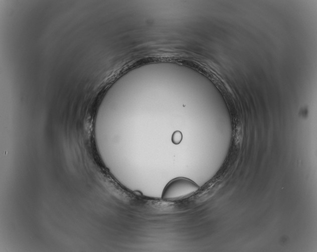 X0000090900476200707301015