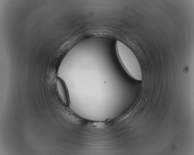 X0000090900478200707301015
