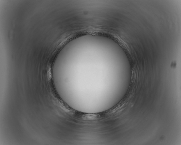 X0000090900479200707301015