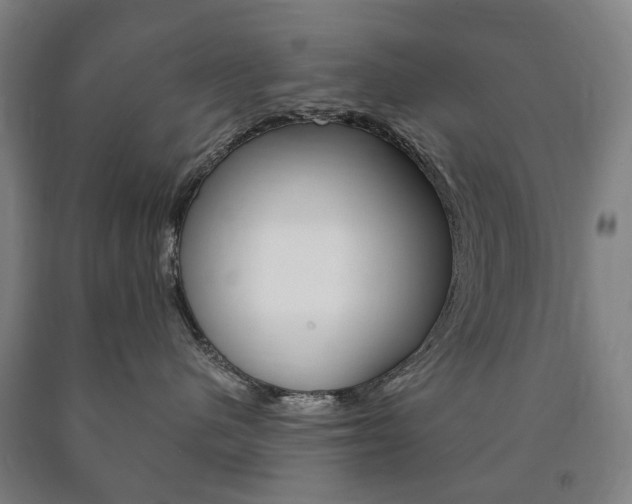 X0000090900480200707301015