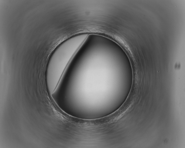 X0000090900481200707301014