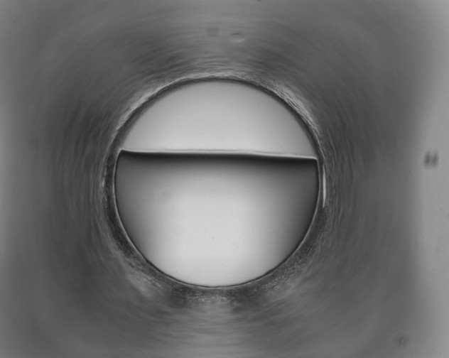X0000090900483200707301014