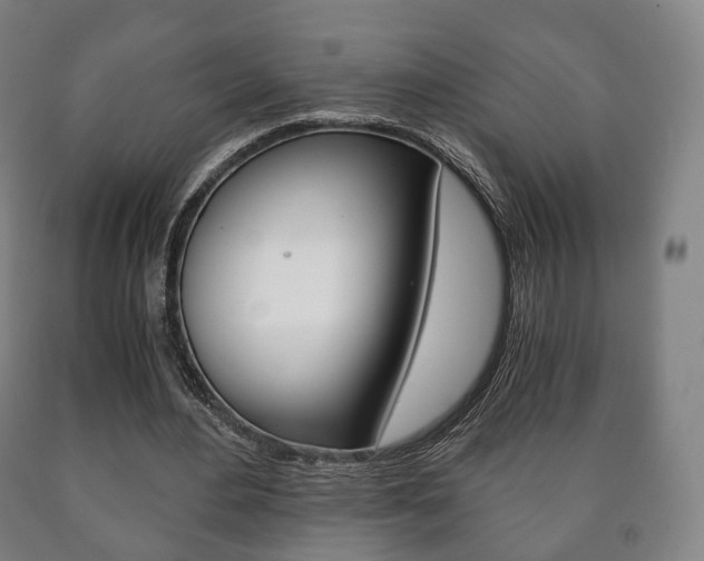 X0000090900484200707301014