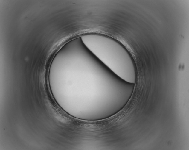 X0000090900486200707301014