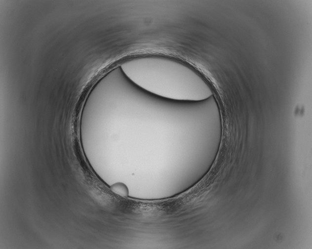 X0000090900487200707301014