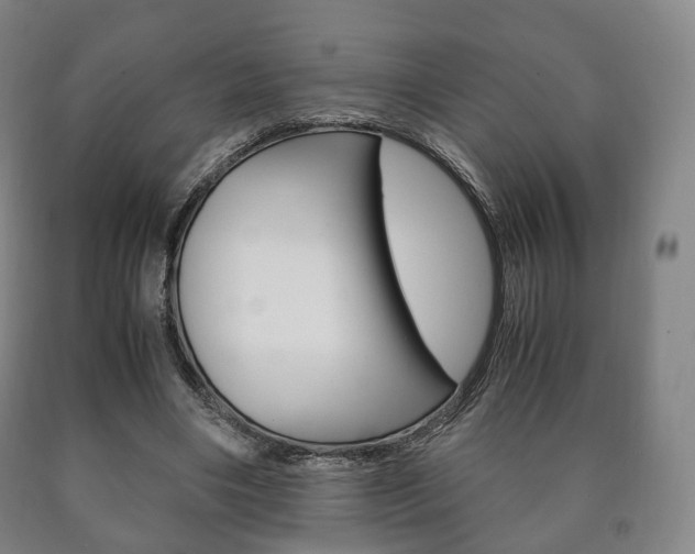 X0000090900490200707301014