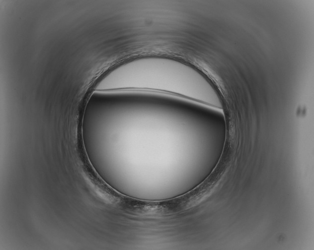 X0000090900493200707301014
