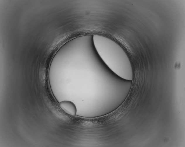 X0000090900494200707301014