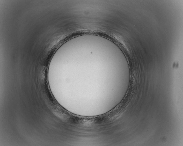X0000090900495200707301014