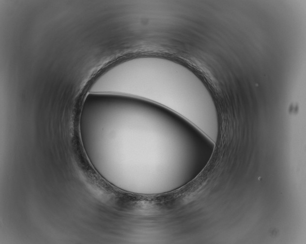 X0000090900496200707301014