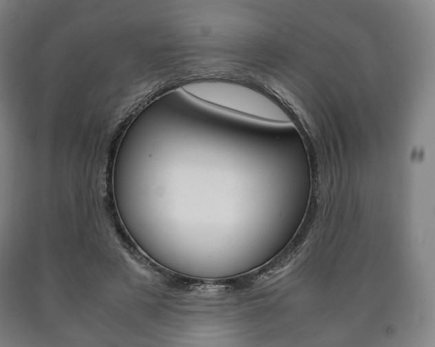 X0000090900497200707301014