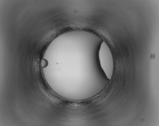 X0000090900498200707301014