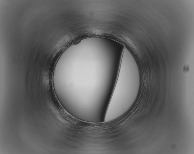 X0000090900500200707301014
