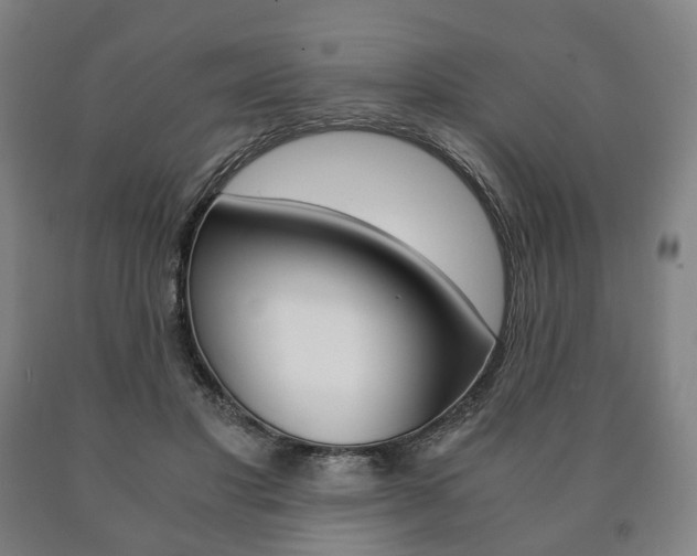X0000090900501200707301014