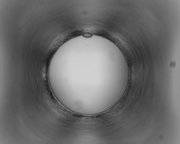 X0000090900502200707301014