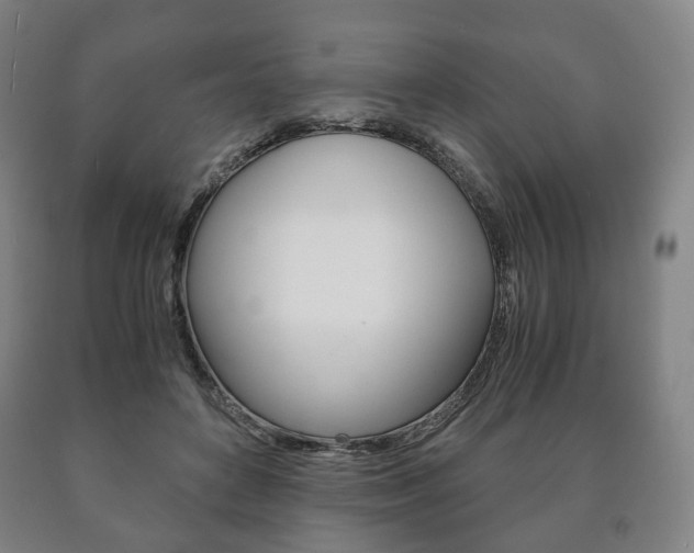 X0000090900504200707301014