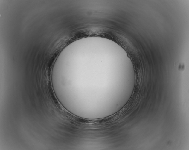 X0000090900506200707301014
