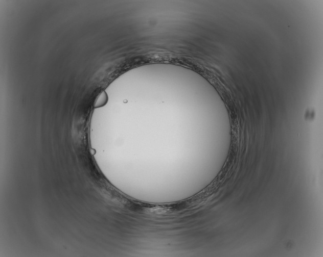 X0000090900511200707301014
