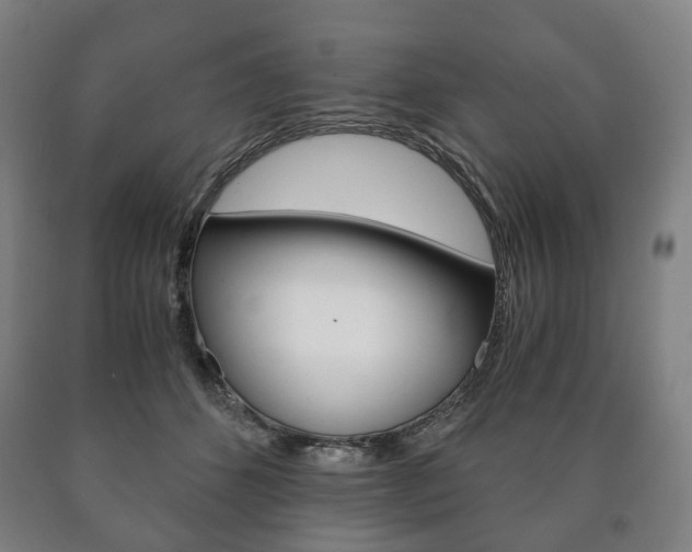 X0000090900512200707301014