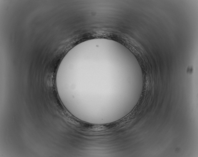 X0000090900514200707301014