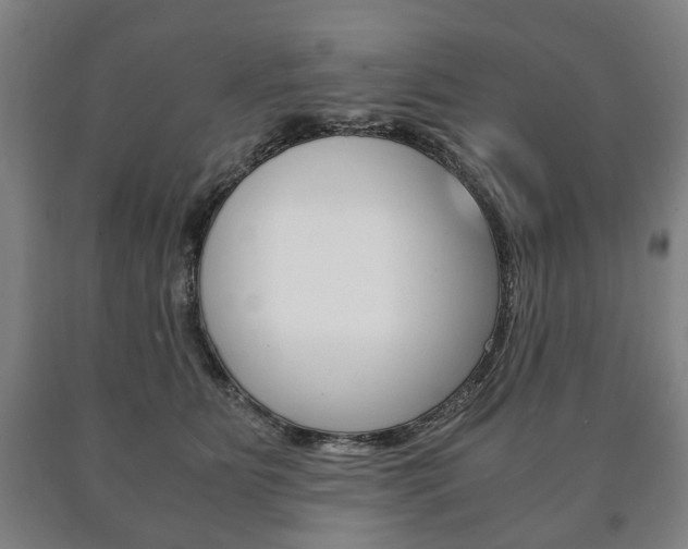 X0000090900515200707301014