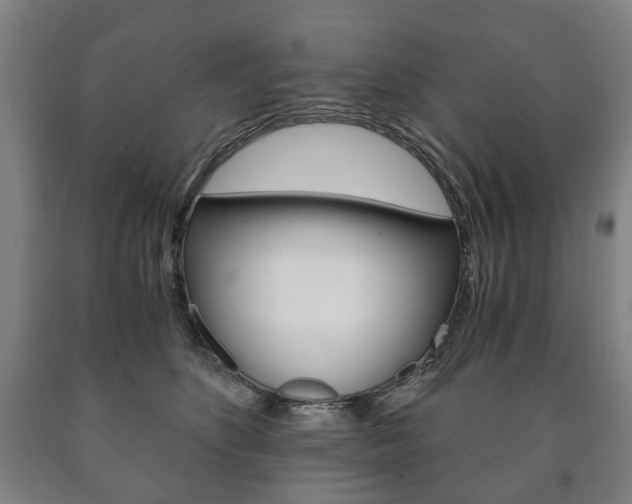 X0000090900516200707301014
