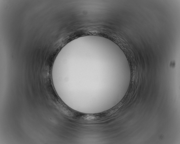 X0000090900518200707301014