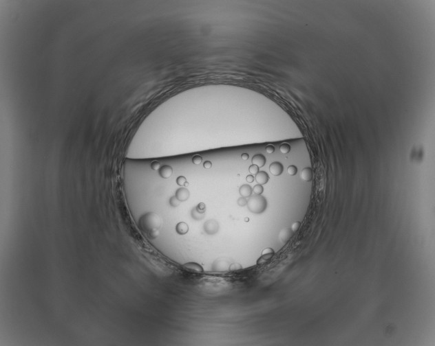 X0000090900519200707301014