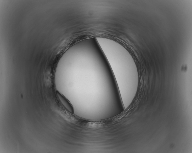 X0000090900520200707301014