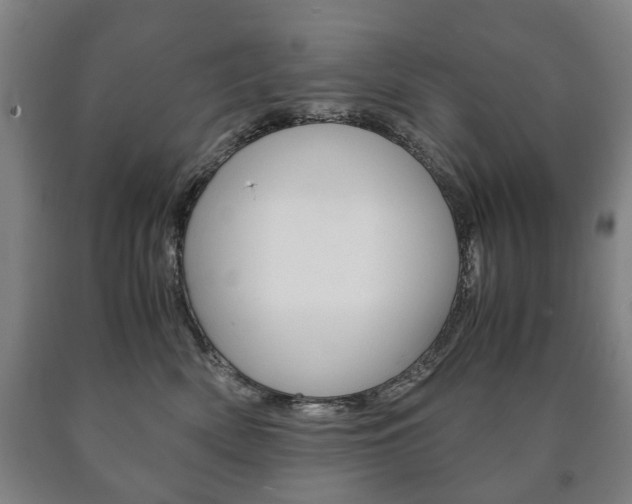 X0000090900522200707301014