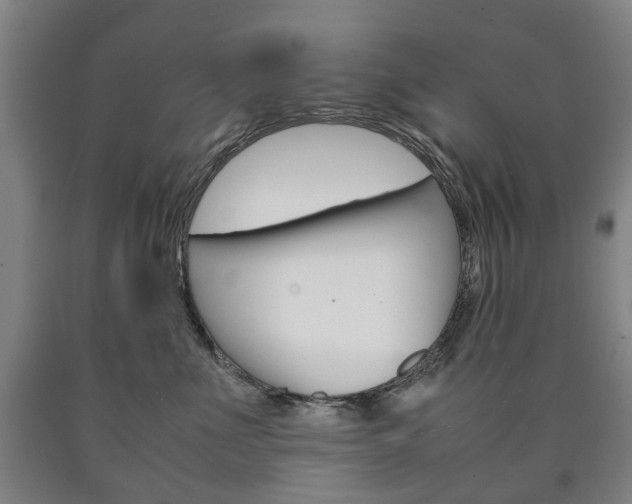 X0000090900523200707301014