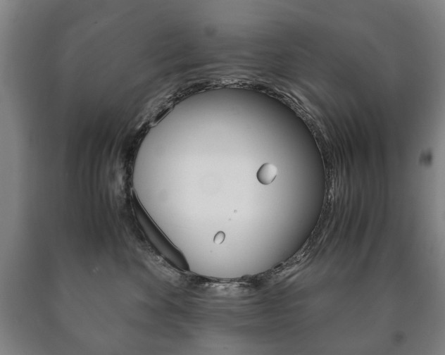 X0000090900524200707301014