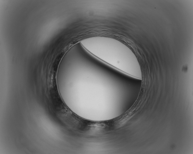 X0000090900525200707301014