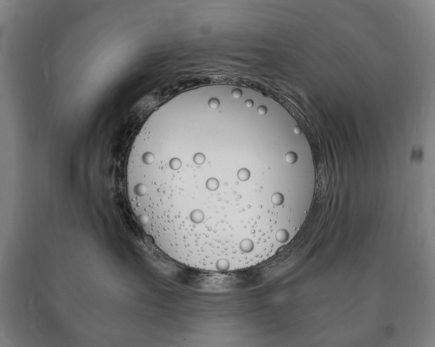X0000090900527200707301014