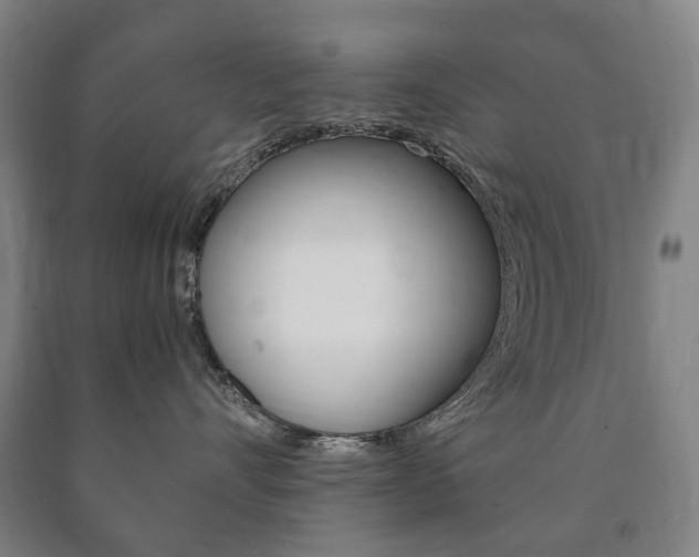 X0000090900528200707301014