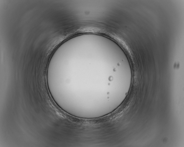 X0000090900529200707301013