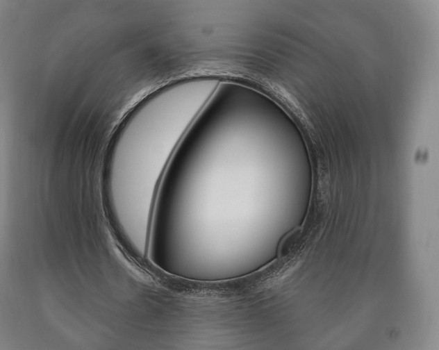 X0000090900530200707301013