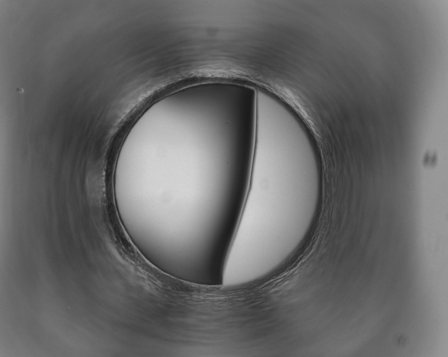 X0000090900531200707301013