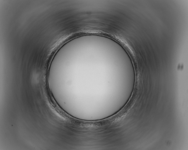 X0000090900533200707301013