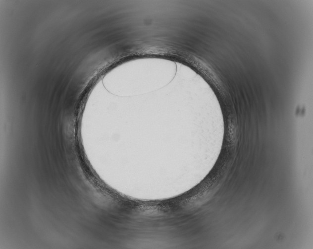 X0000090900534200707301013