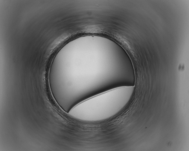 X0000090900535200707301013