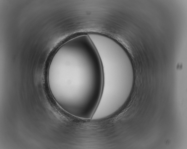 X0000090900536200707301013