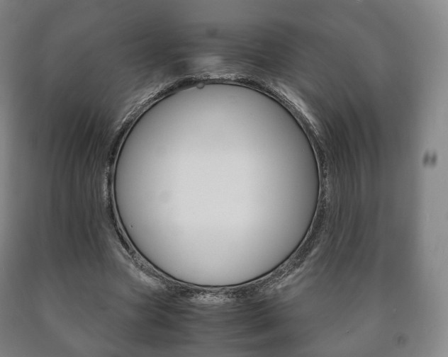 X0000090900537200707301013