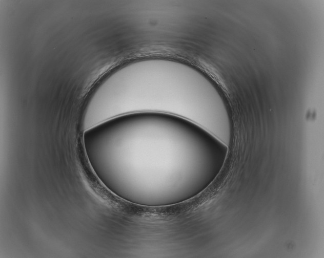 X0000090900538200707301013