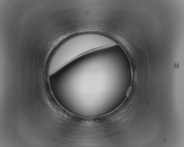 X0000090900540200707301013